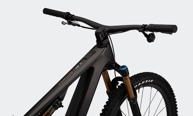 Focus VAM² SL Bike detail image 1.png