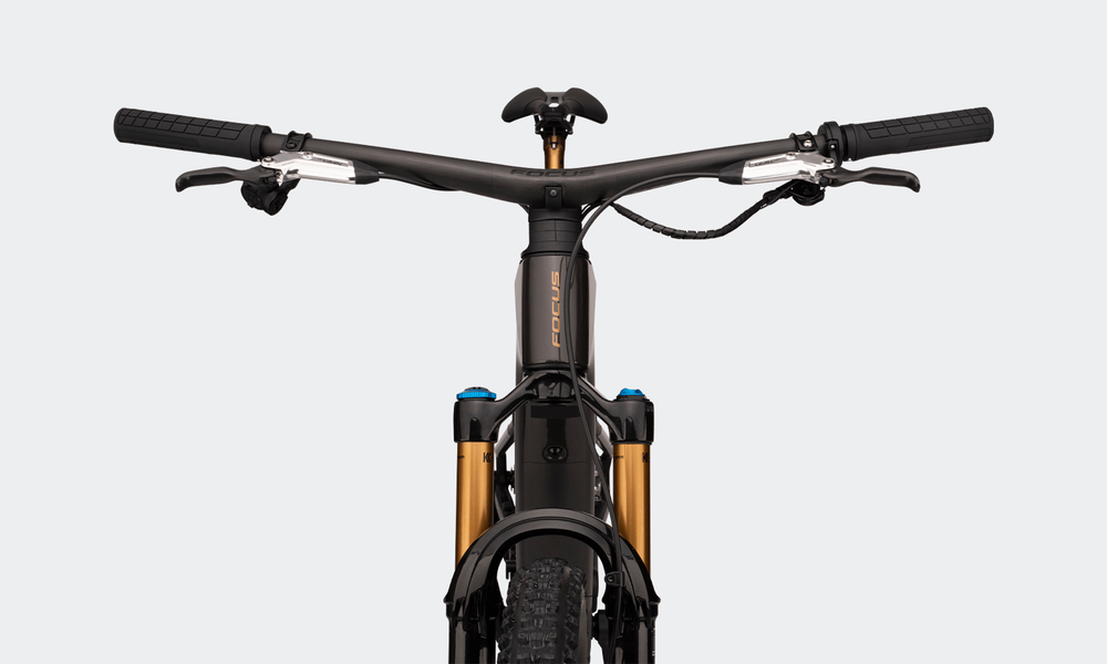Focus VAM² SL Bike detail image 2.png