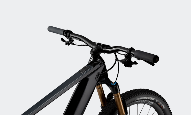 Ghost Path Riot Bike detail image 1.png