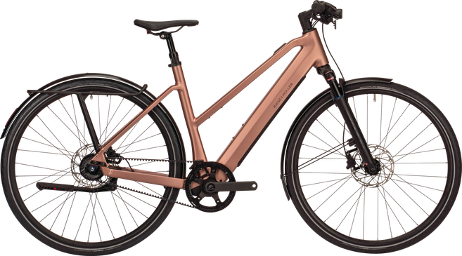 FAZUA Bikes PDP R&M UBN Seven - Main Image