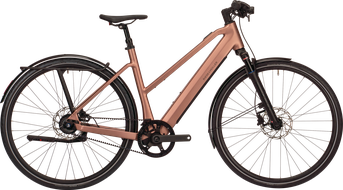 FAZUA Bikes PDP R&M UBN Seven - Main Image